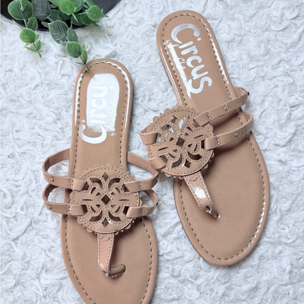 Circus by Sam Edelman Women's Beige Sandals